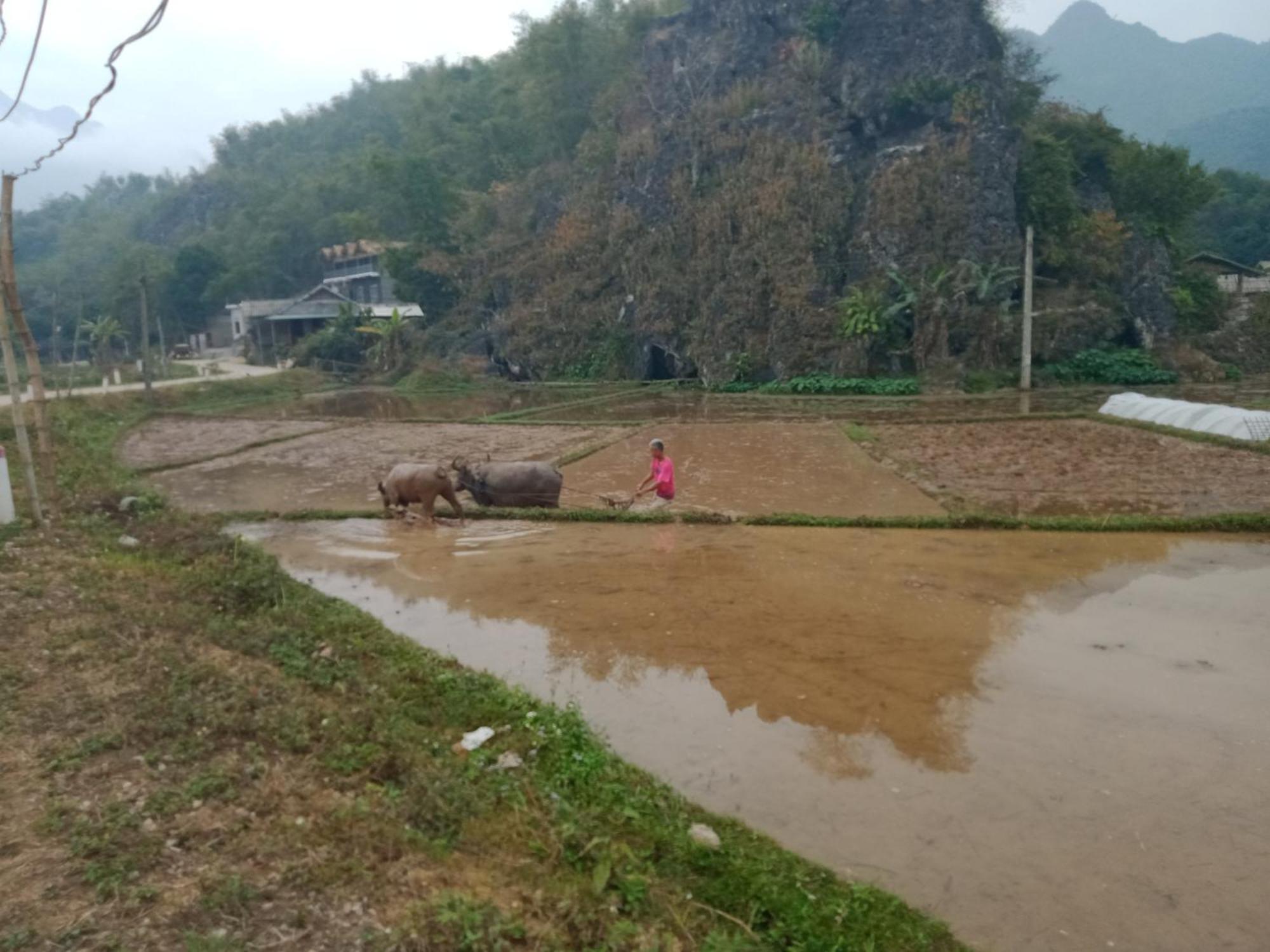 Truong Huy Homestay Mai Châu Exterior foto